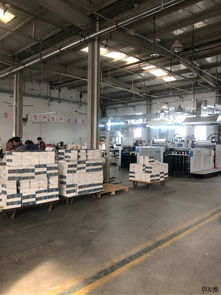專業(yè)設計印刷一體服務 從創(chuàng)意構(gòu)思到成品交付的全流程解決方案